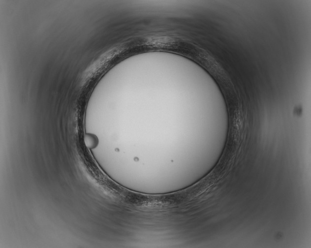 X0000116650734200912291615