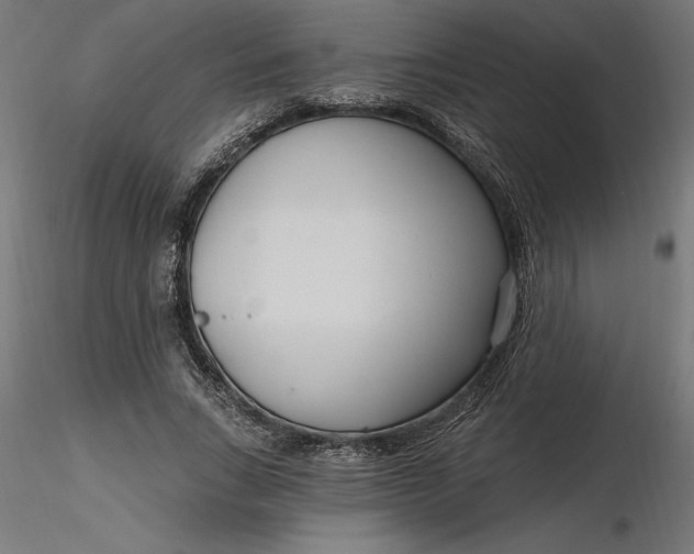 X0000116650735200912291616