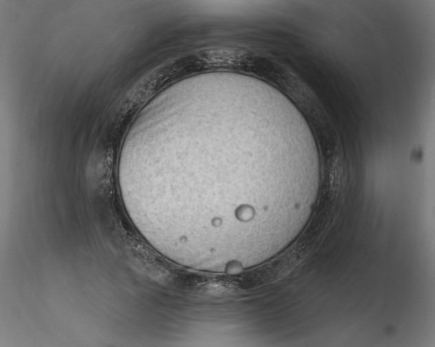 X0000116650737200912291616