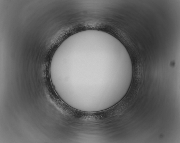 X0000116650738200912291616