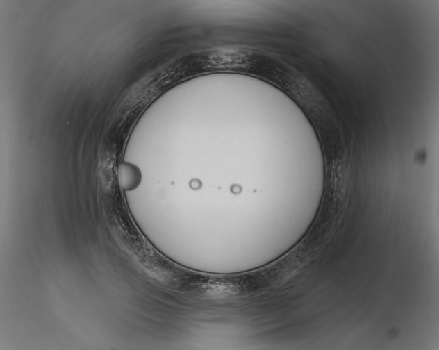 X0000116650741200912291616