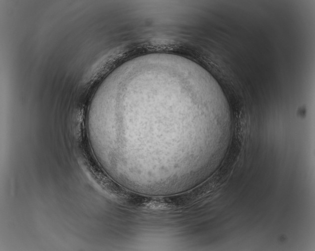 X0000116650742200912291616