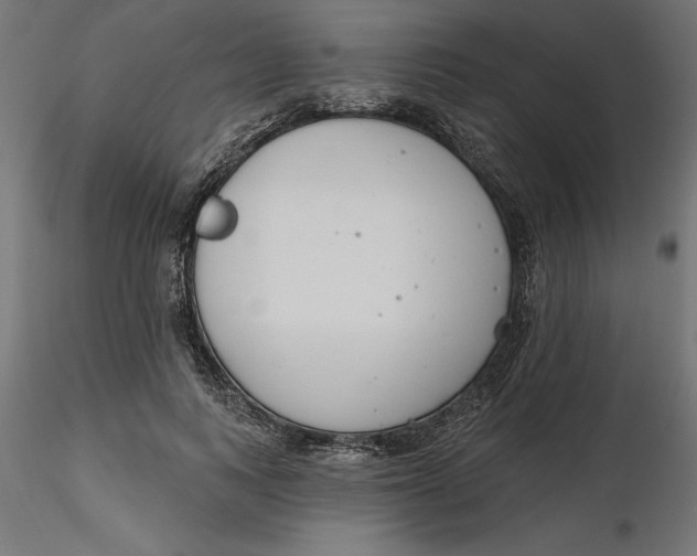 X0000116650743200912291616