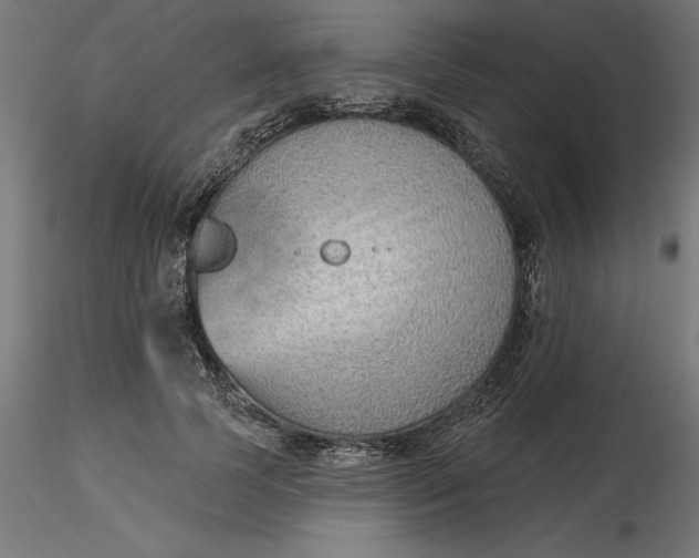 X0000116650745200912291616