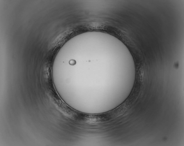 X0000116650746200912291616