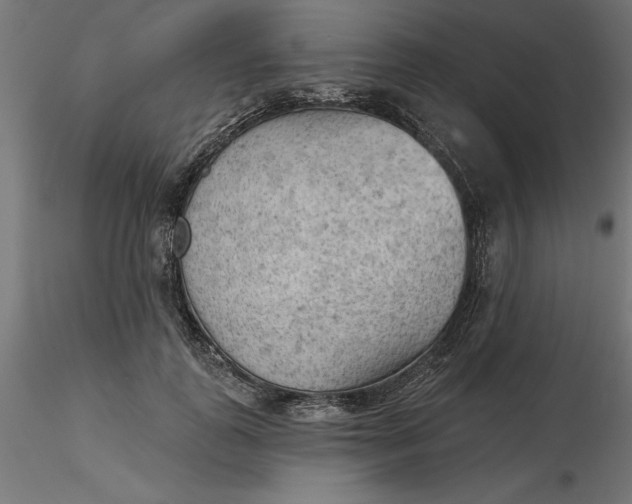 X0000116650747200912291616