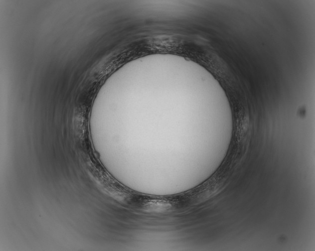 X0000116650749200912291616