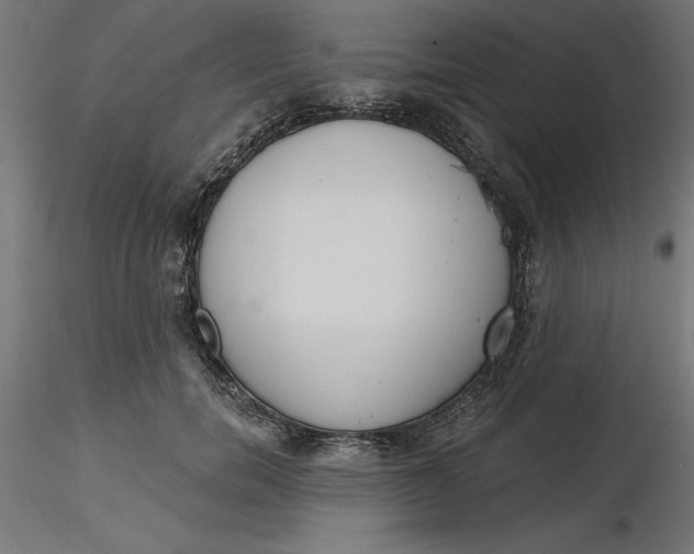 X0000116650750200912291616