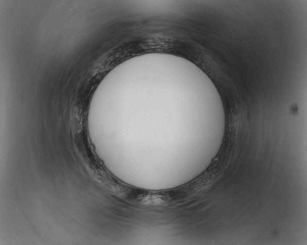 X0000116650751200912291616