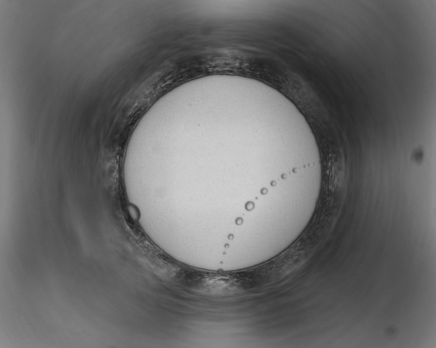 X0000116650753200912291616