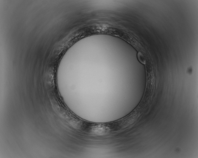 X0000116650754200912291616