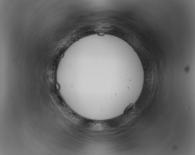 X0000116650755200912291616