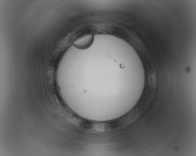 X0000116650757200912291616