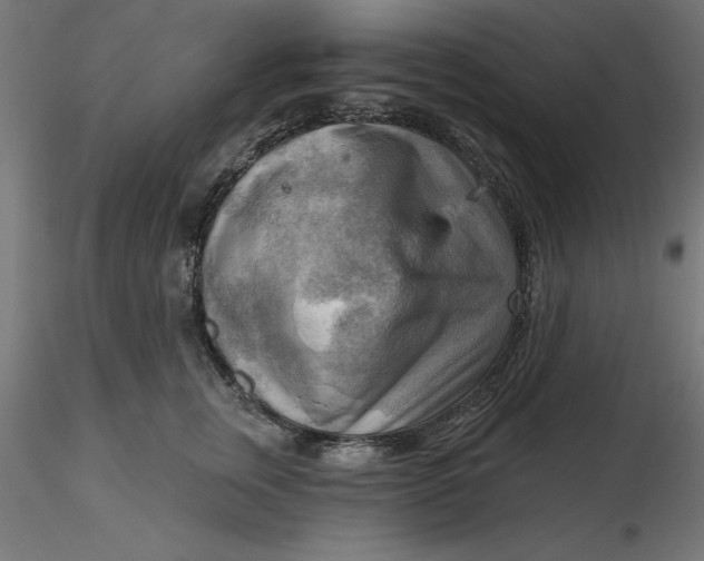 X0000116650759200912291616