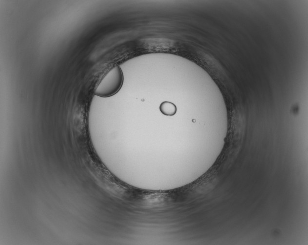 X0000116650761200912291616