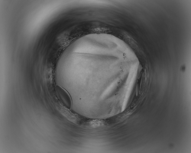 X0000116650762200912291616