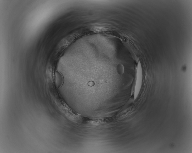 X0000116650763200912291616