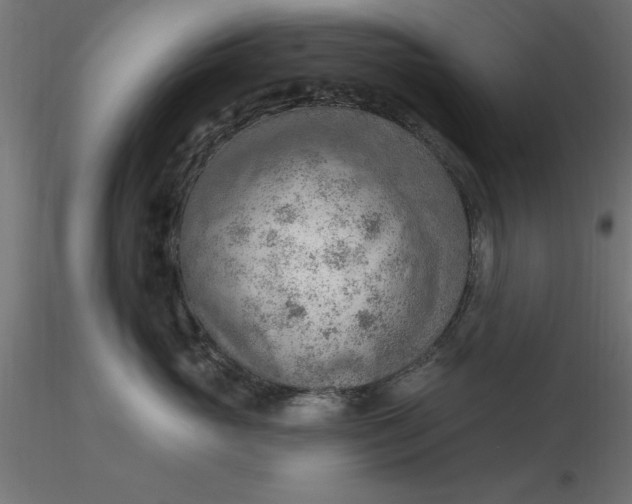 X0000116650765200912291616