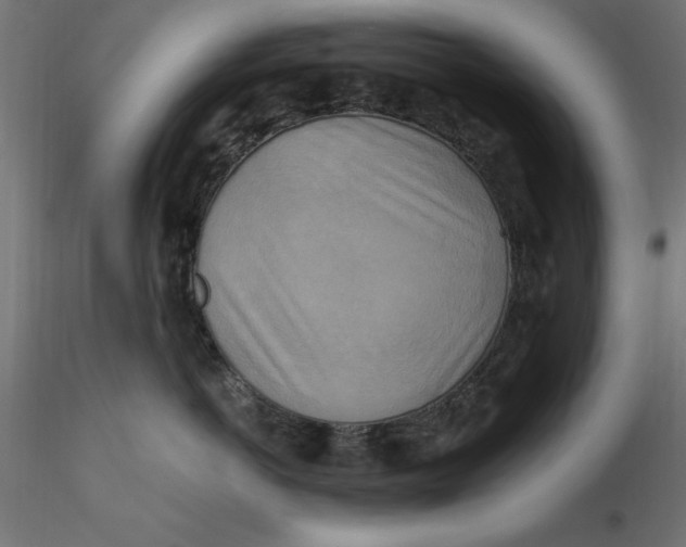 X0000116650766200912291616