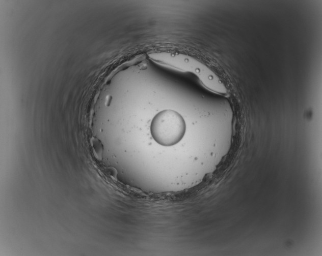 X0000116650769200912291615