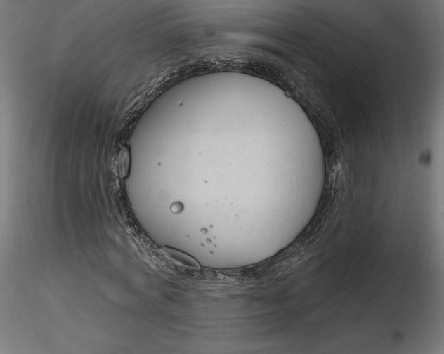 X0000116650772200912291615