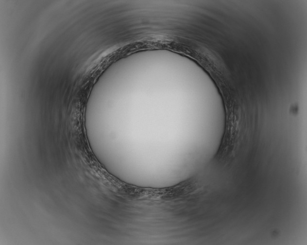 X0000116650773200912291615