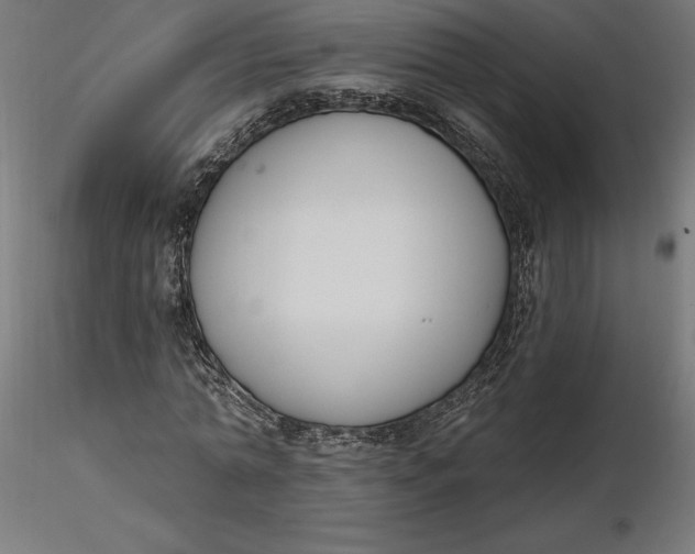 X0000116650774200912291615