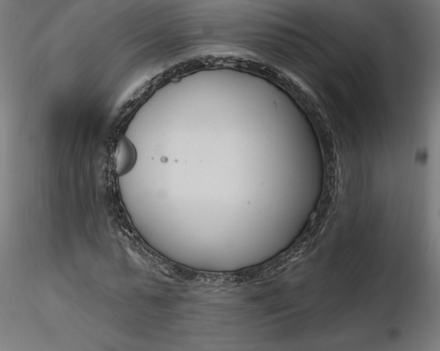 X0000116650775200912291615