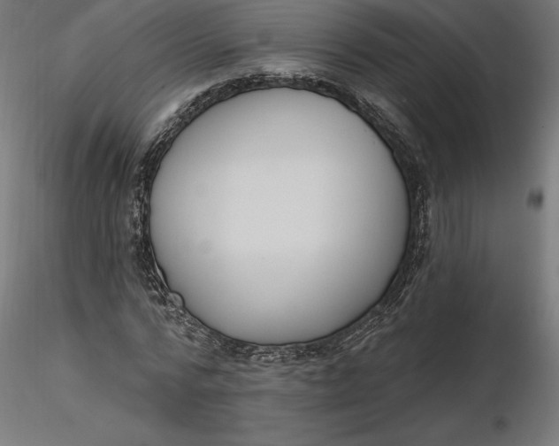 X0000116650776200912291615