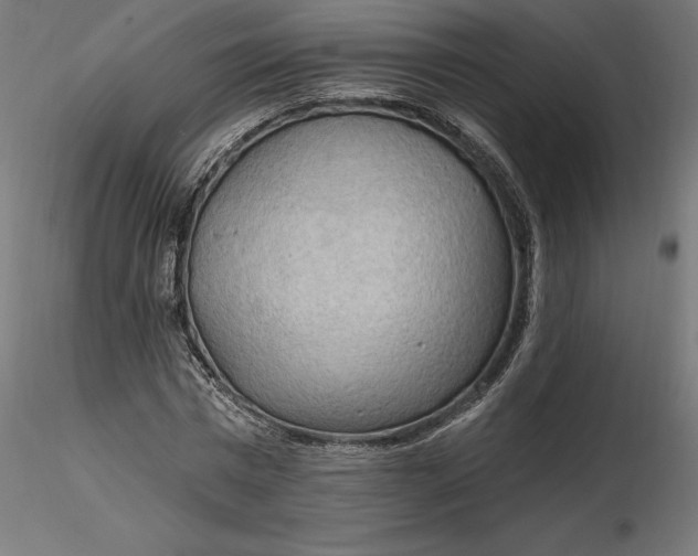 X0000116650777200912291615