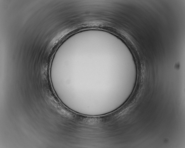 X0000116650778200912291615