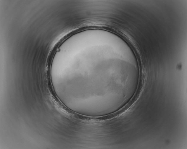 X0000116650779200912291615