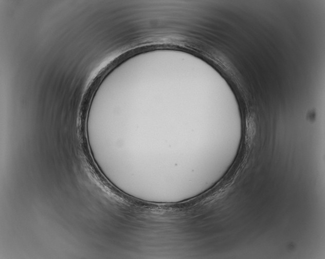 X0000116650780200912291615