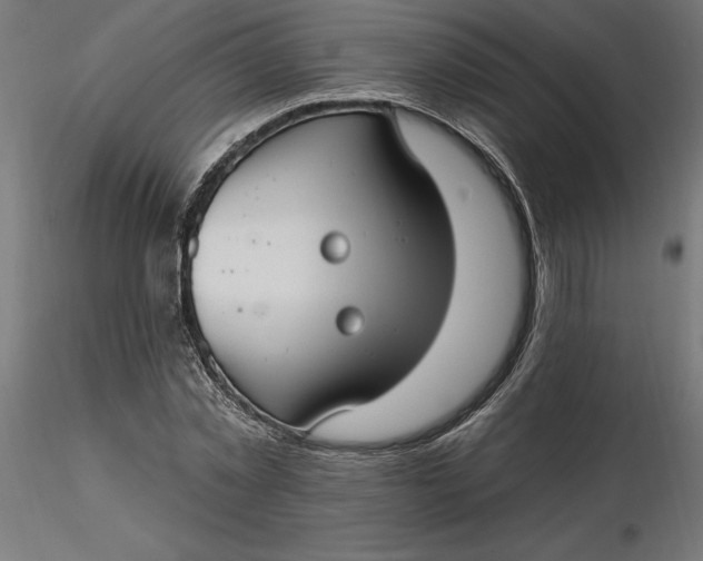 X0000116650781200912291615