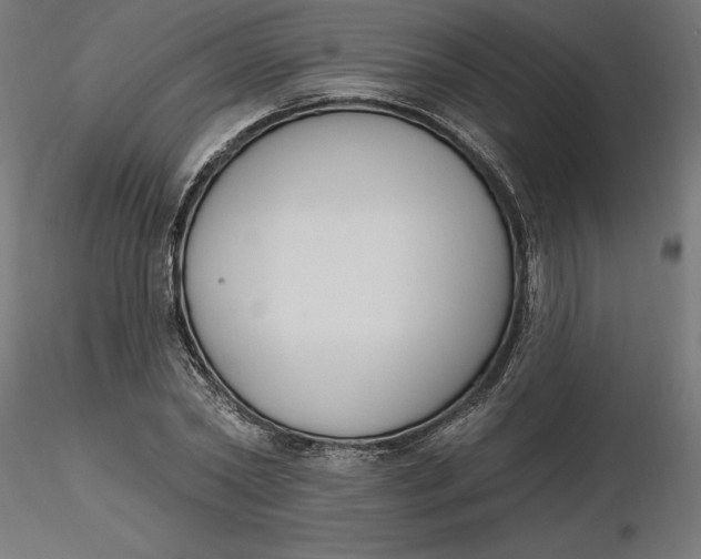 X0000116650782200912291615