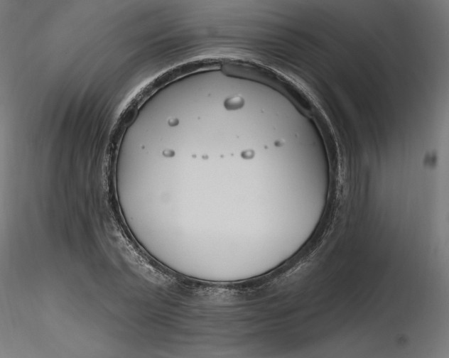 X0000116650783200912291615