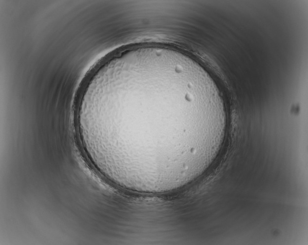 X0000116650784200912291615