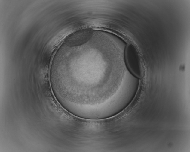 X0000116650785200912291615