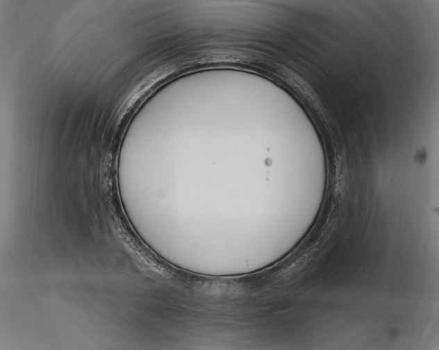 X0000116650786200912291615