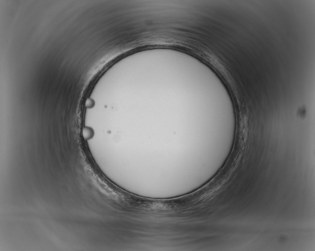 X0000116650787200912291615