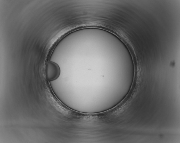 X0000116650789200912291615