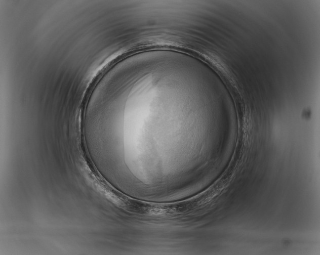 X0000116650790200912291615