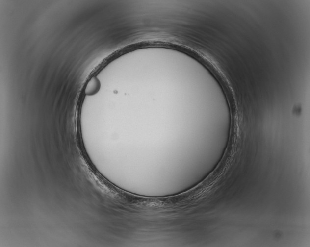 X0000116650791200912291615