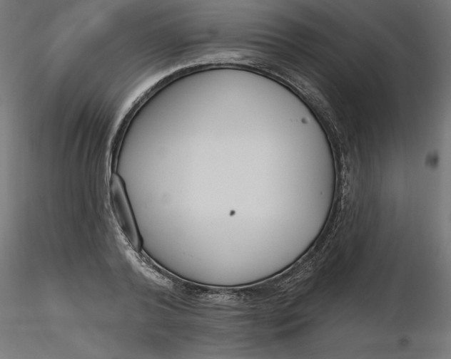 X0000116650792200912291615