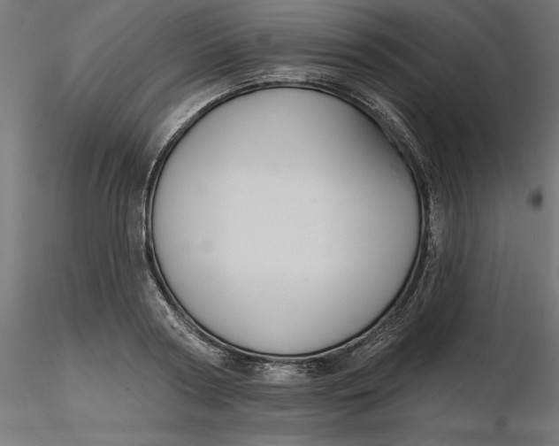 X0000116650794200912291615