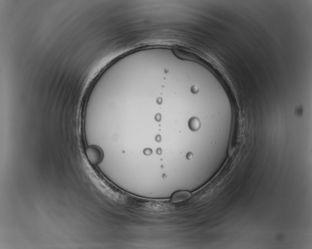 X0000116650795200912291615