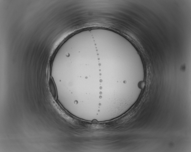 X0000116650796200912291615