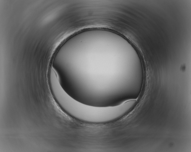 X0000116650797200912291615