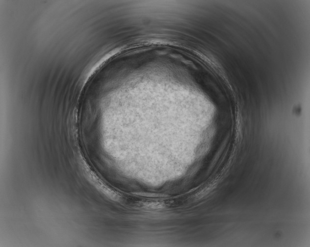 X0000116650798200912291615