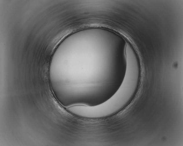 X0000116650801200912291615